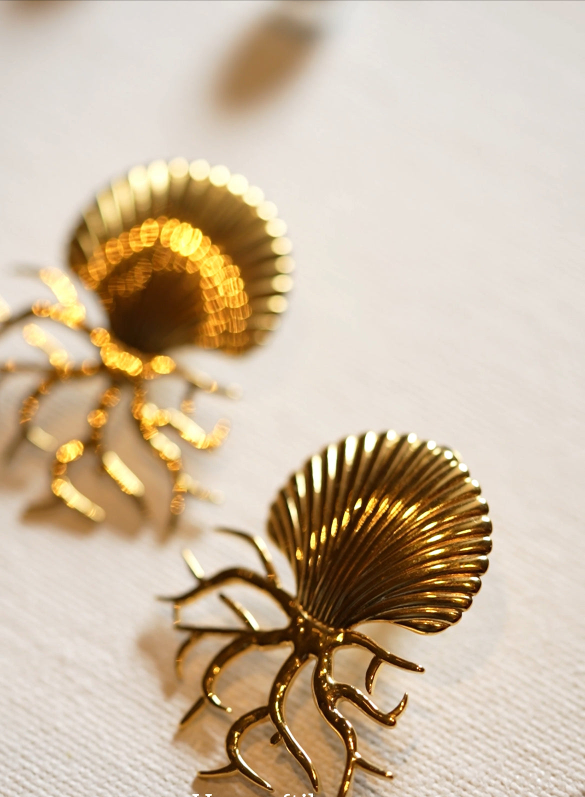 CORAL Shell Earrings